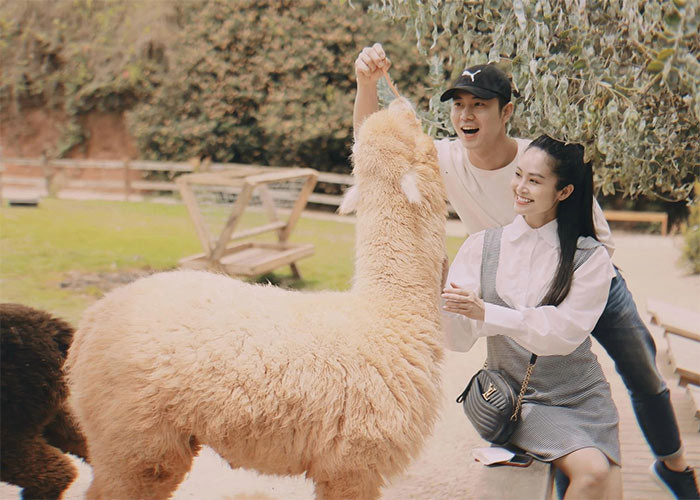 Đức Hiếu gặp Thùy Linh trong một dự án phim hài Tết mà cả hai cùng tham gia và ngay lập tức anh bị nữ MC thu hút bởi vẻ ngoài xinh đẹp nên đã chủ động làm quen.