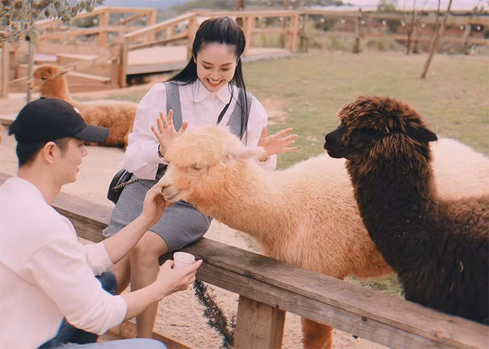 MC Thuy Linh va chong tre ngot ngao ky niem 3 nam ngay cuoi