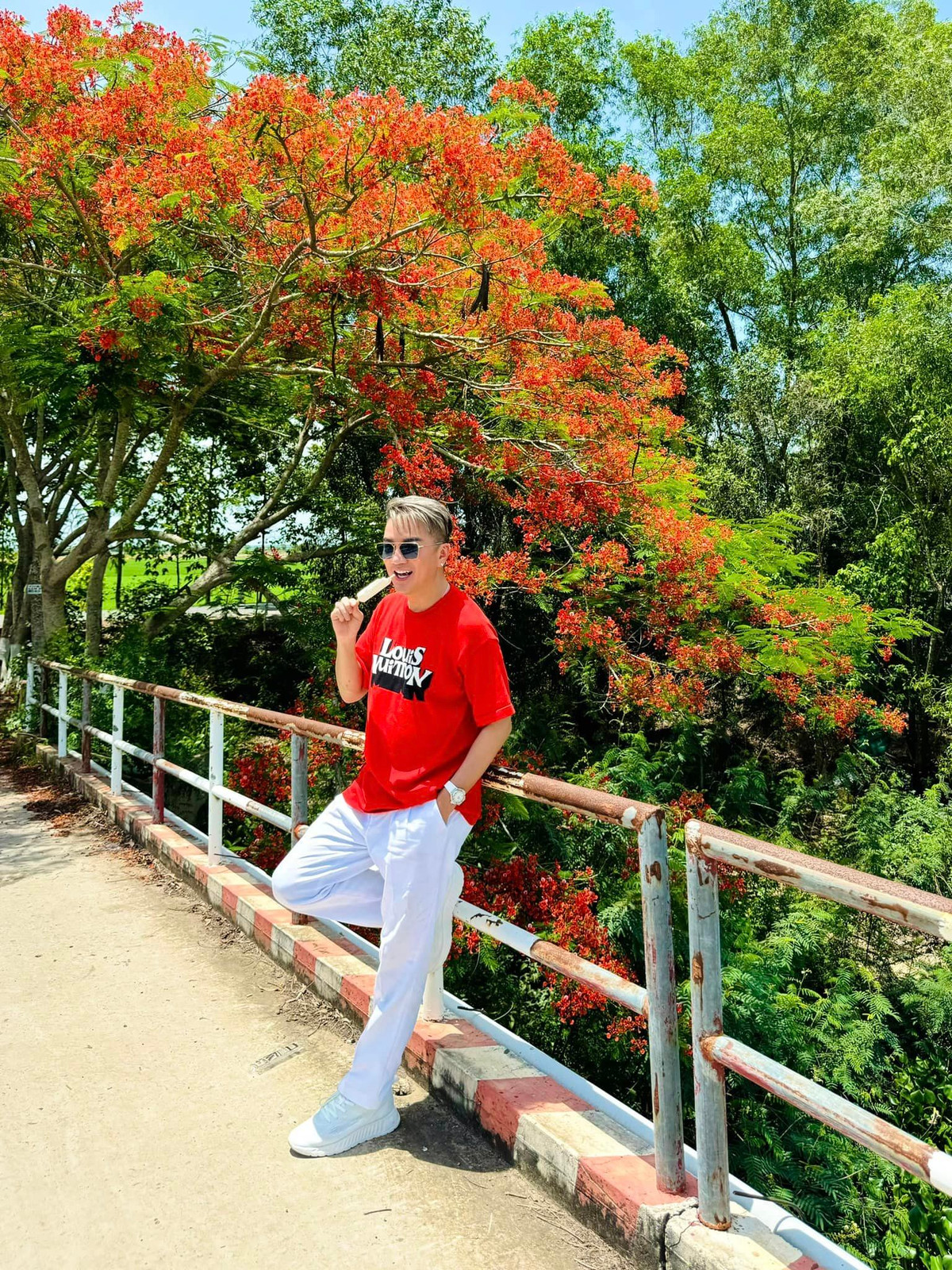 Hoa phượng đỏ rực rỡ nở khắp nơi, tạo nên một bức tranh mùa hè đầy sức sống. Ca sĩ Đàm Vĩnh Hưng đứng giữa tán phượng vĩ, nở nụ cười như một nam sinh trung học.