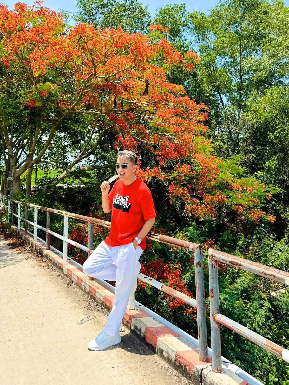 Hoa phượng đỏ rực rỡ nở khắp nơi, tạo nên một bức tranh mùa hè đầy sức sống. Ca sĩ Đàm Vĩnh Hưng đứng giữa tán phượng vĩ, nở nụ cười như một nam sinh trung học.