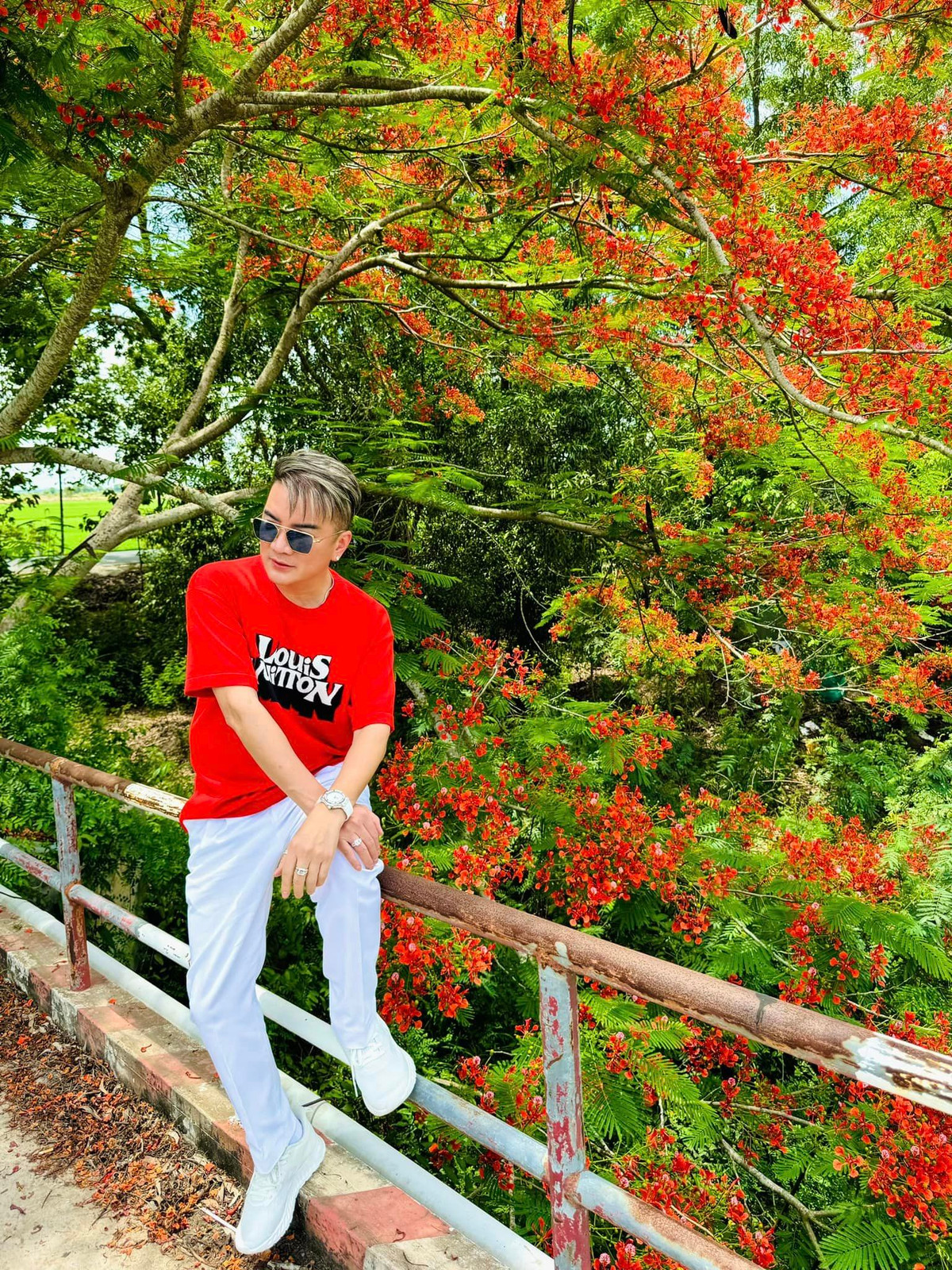 Mới đây Đàm Vĩnh Hưng chia sẻ bộ ảnh mới chụp cùng hoa phượng đỏ rực rỡ.