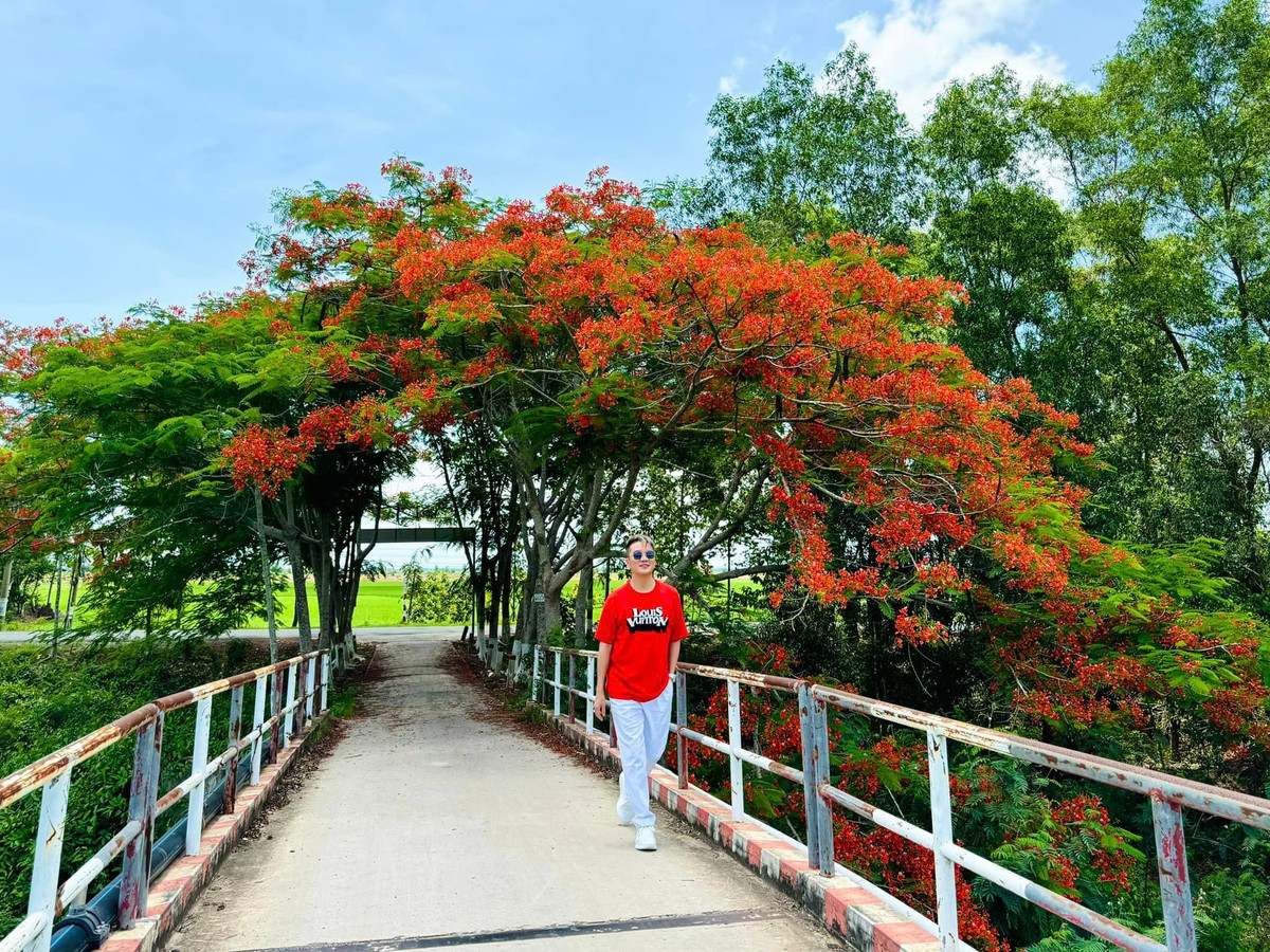 Chia sẻ về bộ ảnh này, Đàm Vĩnh Hưng cho biết: "Tự nhiên muốn về lại tuổi thơ, tự nhiên muốn đi học lại, tự nhiên nhớ thầy cô, bạn bè và trường lớp, tự nhiên buồn rồi tự nhiên lành… Mà không cần phải chữa!".