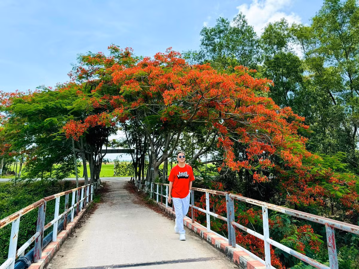 Chia sẻ về bộ ảnh này, Đàm Vĩnh Hưng cho biết: "Tự nhiên muốn về lại tuổi thơ, tự nhiên muốn đi học lại, tự nhiên nhớ thầy cô, bạn bè và trường lớp, tự nhiên buồn rồi tự nhiên lành… Mà không cần phải chữa!".