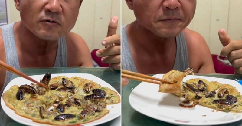 Hình ảnh một người đàn ông ăn món trứng đúc thịt gián rồi đăng tải lên mạng xã hội, thu hút đông đảo sự quan tâm, chú ý. Trong món này có hàng chục con gián. Người đàn ông vừa ăn vừa giải thích, mô tả mùi vị rất giòn, giống như ăn tôm còn vỏ, gần như không vị, khá ngon và thêm một chút hành lá xắt nhỏ thì sẽ dậy mùi hơn.