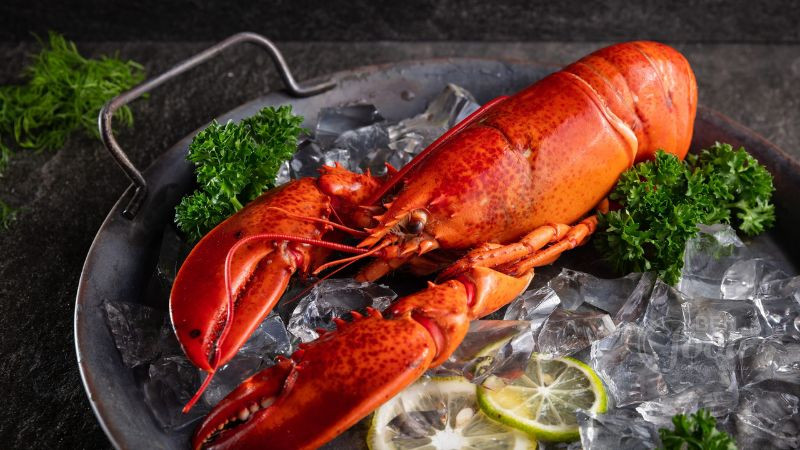 Nhắc đến vua của các loài tôm thì không thể bỏ qua tôm hùm nhất là tôm hùm tại đảo Cát Bà. Tôm hùm tại đây luôn đảm bảo độ tươi ngon, ngọt thịt và hàm lượng dinh dưỡng cao. Tôm hùm thường được hấp, nướng hoặc nấu với nhiều loại sốt. Ảnh: Bách hoá Xanh