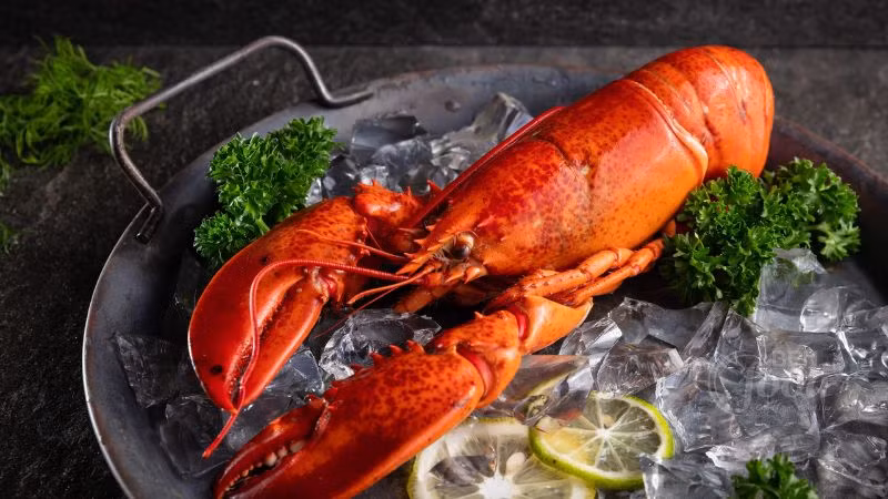 Nhắc đến vua của các loài tôm thì không thể bỏ qua tôm hùm nhất là tôm hùm tại đảo Cát Bà. Tôm hùm tại đây luôn đảm bảo độ tươi ngon, ngọt thịt và hàm lượng dinh dưỡng cao. Tôm hùm thường được hấp, nướng hoặc nấu với nhiều loại sốt. Ảnh: Bách hoá Xanh