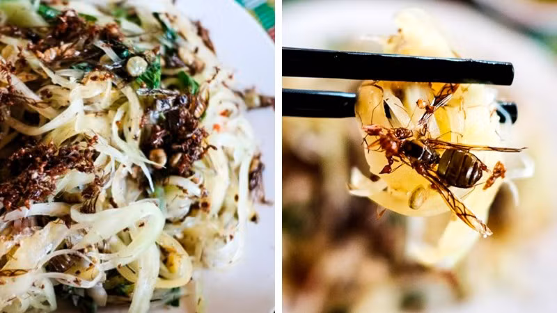 Ngoài các món trên, đu đủ giã kiến vàng cũng là món đặc sản từ kiến vàng độc đáo của người dân xứ Êđê. Tổ kiến vàng được bắt từ trên ngọn cây cao, sau đó ngâm vào nước, giũ sạch kiến, tiếp tục ngâm vào nước ấm để loại bỏ tạp chất. Sau đó, kiến vàng được trộn với đu đủ bào sợi và nêm chút muối, ớt bột. Ảnh: Bách hoá xanh