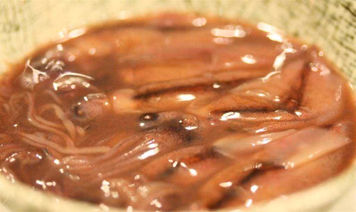 Khi có dịp ghé qua xứ sở hoa anh đào du khách nhất định nên thử món Shiokara này một lần, dù cho mùi hương của nó có hơi "khó ngửi".