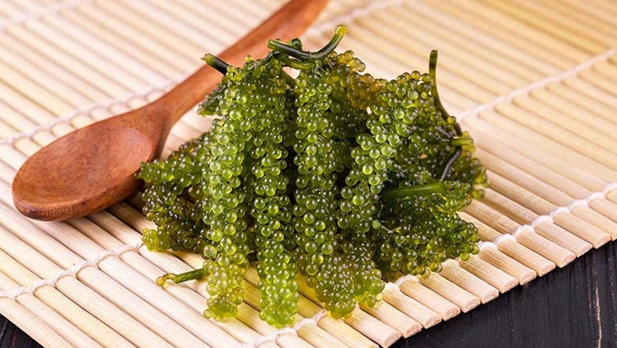 Rong nho là một loại tảo biển có hình dạng như những chùm nho xanh mọng nước. Rong nho phù hợp để ăn kèm với các món chế biến từ hải sản hoặc các món cá tươi sống, đem lại hương vị rất khác biệt.