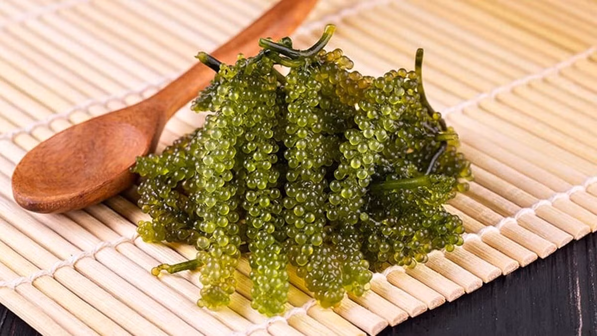 Rong nho là một loại tảo biển có hình dạng như những chùm nho xanh mọng nước. Rong nho phù hợp để ăn kèm với các món chế biến từ hải sản hoặc các món cá tươi sống, đem lại hương vị rất khác biệt.