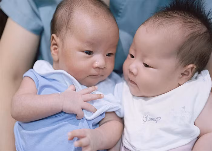 Phương Oanh và Shark Bình đã thực hiện IVF (thụ tinh nhân tạo) để có hai bé Jimmy - Jenny. Ảnh: FB Phương Oanh - Shark Bình