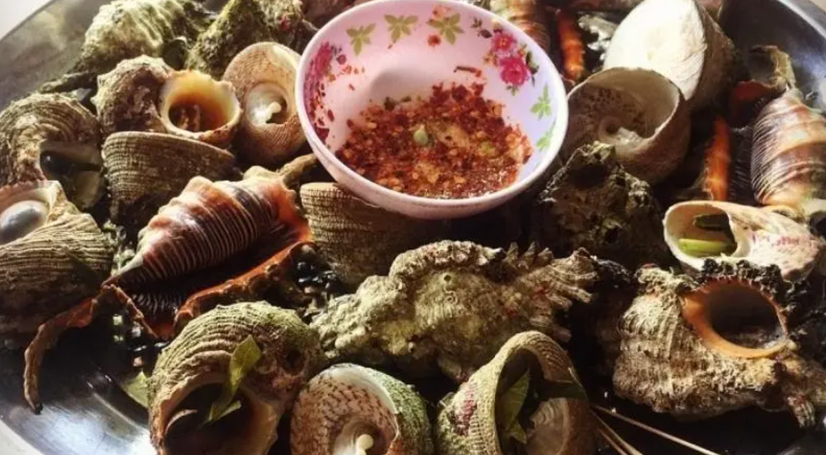 Ốc vú nàng có thịt chứa nhiều dưỡng chất, bao gồm các axit amin, các nguyên tố vi lượng, DHA, các axit béo không no. Đặc biệt, ốc vú nàng được mệnh danh là "thần dược tình yêu", "viagra của biển cả"... bởi có thể giúp gắn kết tình cảm, phục hồi sức khỏe nhanh, tăng cường sinh lực và là một phương thuốc giã rượu vô cùng hữu hiệu. Ảnh: Sưu tầm