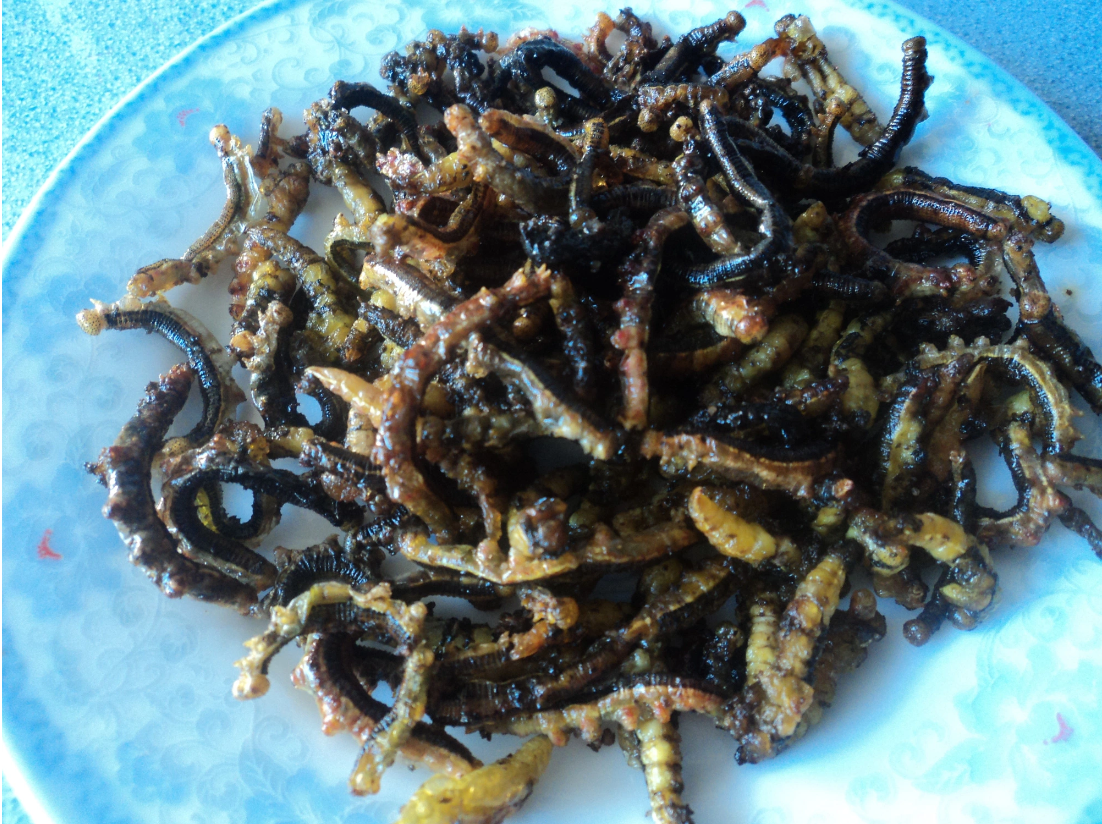 Bà con đồng bào dân tộc Ê Đê thường truyền tai nhau món ăn ngon độc lạ này, không chỉ cải thiện bữa ăn vào những ngày trời nắng nóng mà còn là phương thuốc để ngăn ngừa bệnh sốt rét hiệu quả. Còn đối với những quý ông, đây là một dịp để có thể tăng cường sức khỏe. Ảnh: Dân Việt