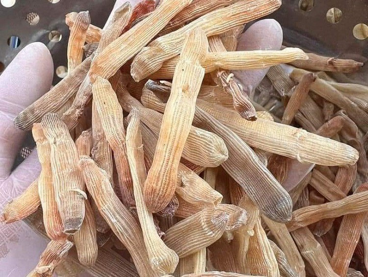 Từ những con sá sùng tươi hay những con sá sùng được phơi khô đều có thể biến được nhiều món ăn ngon, giàu dinh dưỡng. Ảnh: Người Đưa Tin