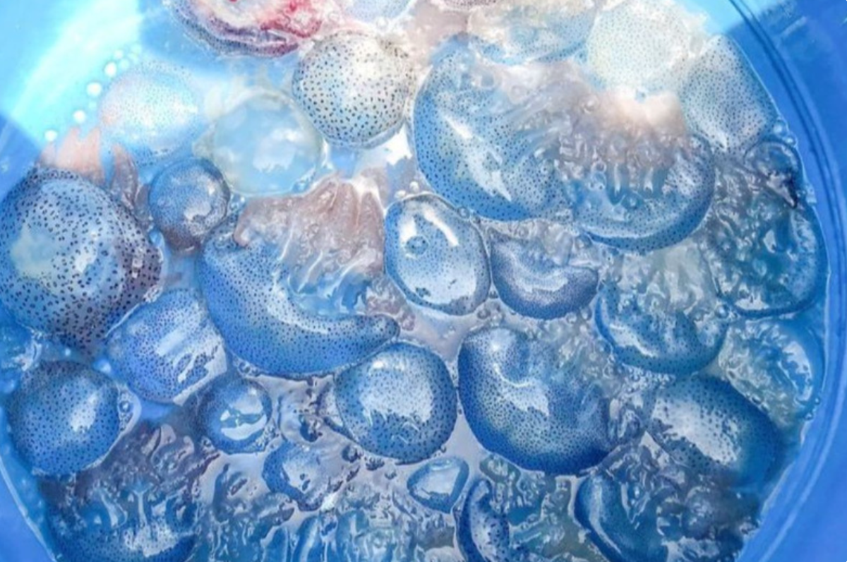 Nuốc xanh đang dần trở thành một món ăn đặc sản được du khách ưa chuộng khi đến với Huế. Ảnh: Sưu tầm