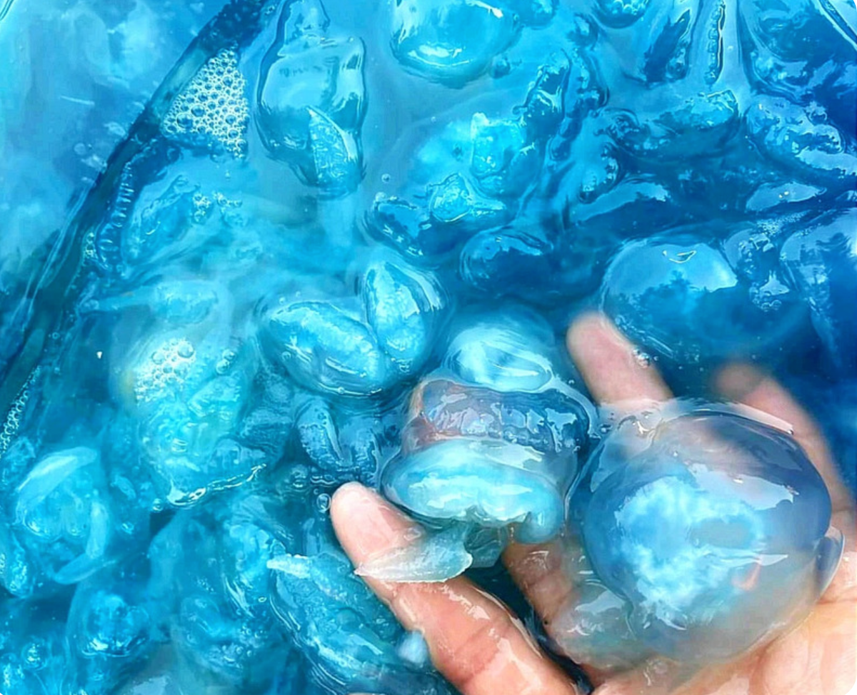 Nuốc xanh Huế không chỉ gây ấn tượng bởi màu sắc lạ mắt, đặc sản này còn có cách thưởng thức khá thú vị.