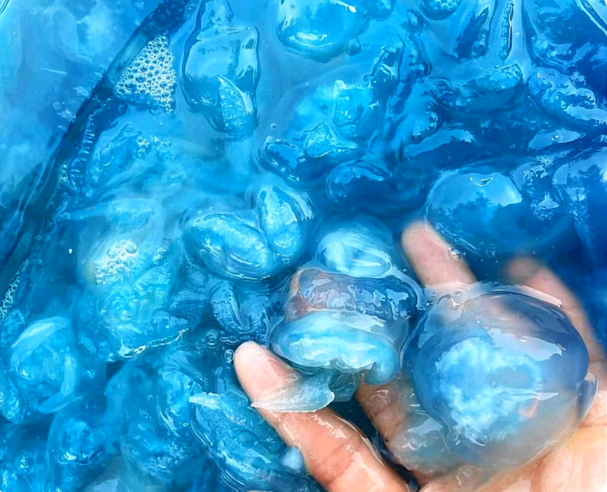 Nuốc xanh Huế không chỉ gây ấn tượng bởi màu sắc lạ mắt, đặc sản này còn có cách thưởng thức khá thú vị.