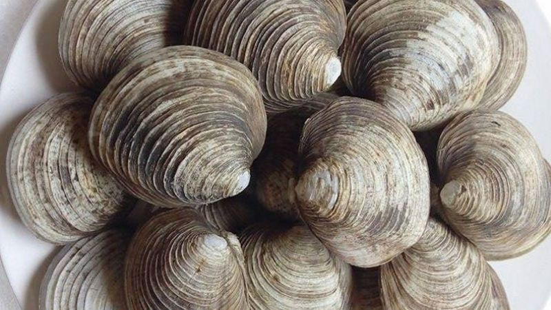 Quảng Ninh nổi tiếng với những hải sản tươi ngon, nếu bỏ qua ngán là một thiếu sót. Ngán có thể chế biến thành nhiều món như: Ngán hấp, ngán xào bún, gỏi ngán,...