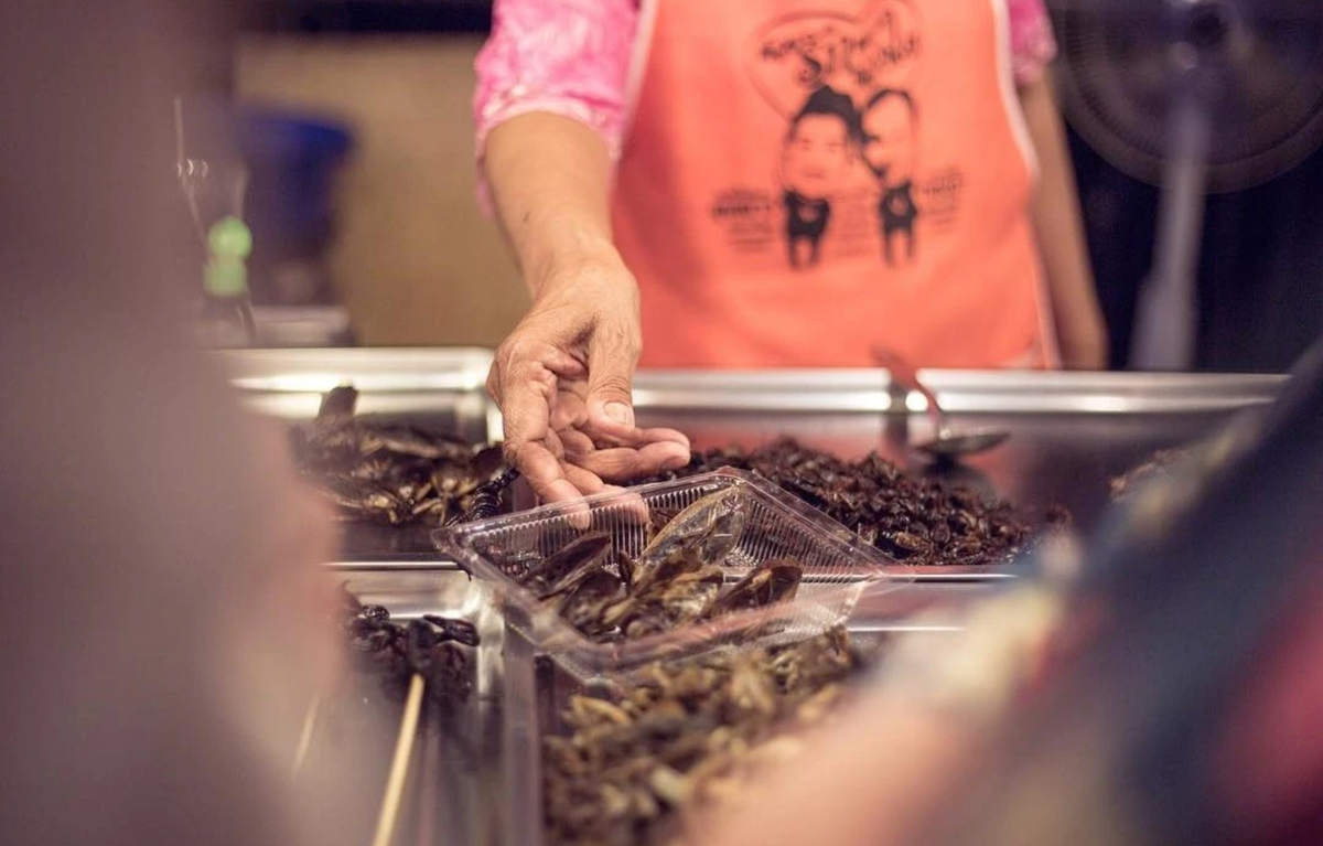 Nếu vượt qua được ám ảnh tâm lý, bạn sẽ thấy món gián chiên giòn không hôi, không đáng sợ như mình vẫn nghĩ, trái lại rất lôi cuốn, hấp dẫn, ăn một lần muốn ăn lại lần hai. Ảnh: Kraftsmanship