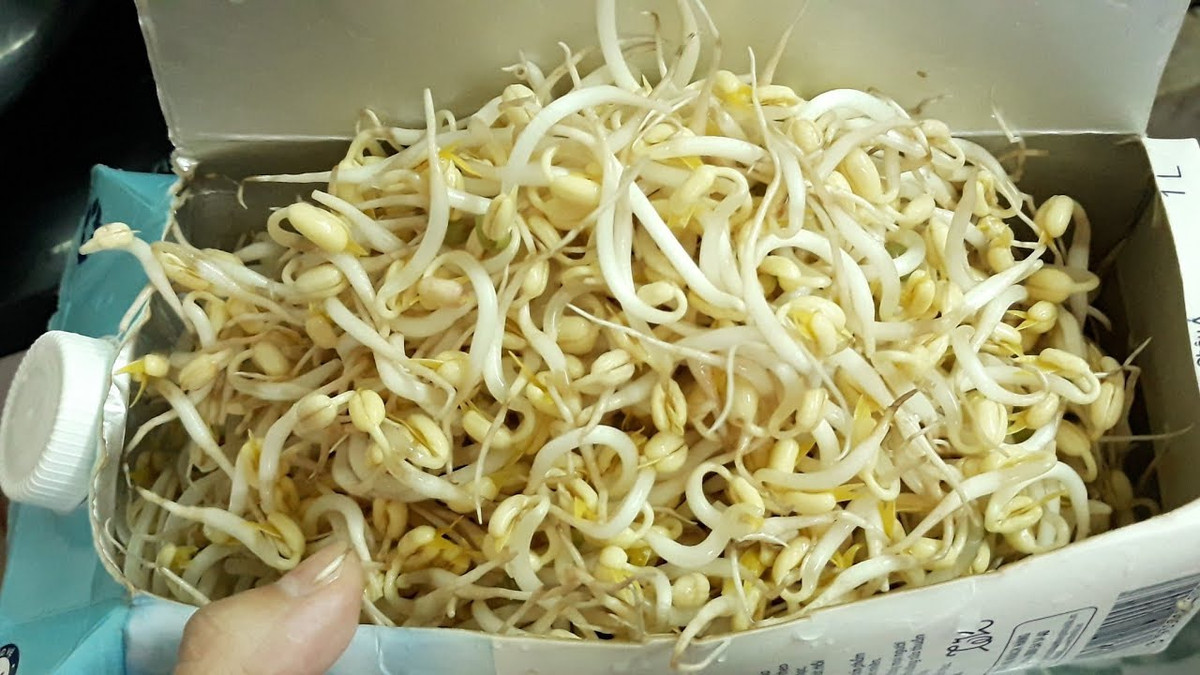 Nguyên liệu và dụng cụ cần có khi làm giá đỗ bằng vỏ hộp sữa: 200 - 300g đậu xanh, vỏ hộp sữa loại 1 lít. Ảnh minh họa