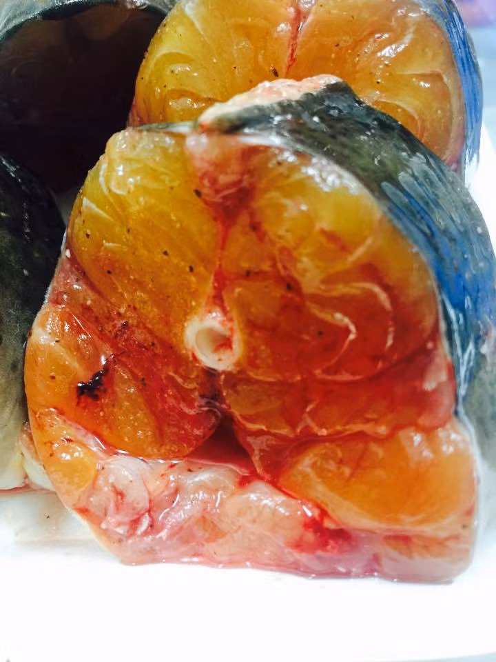 Thịt cá chiên sông Đà nổi tiếng thơm giòn, ngon ngọt, chẳng thế mà nó là một trong 5 loài cá tiến vua một thời. Ảnh Internet