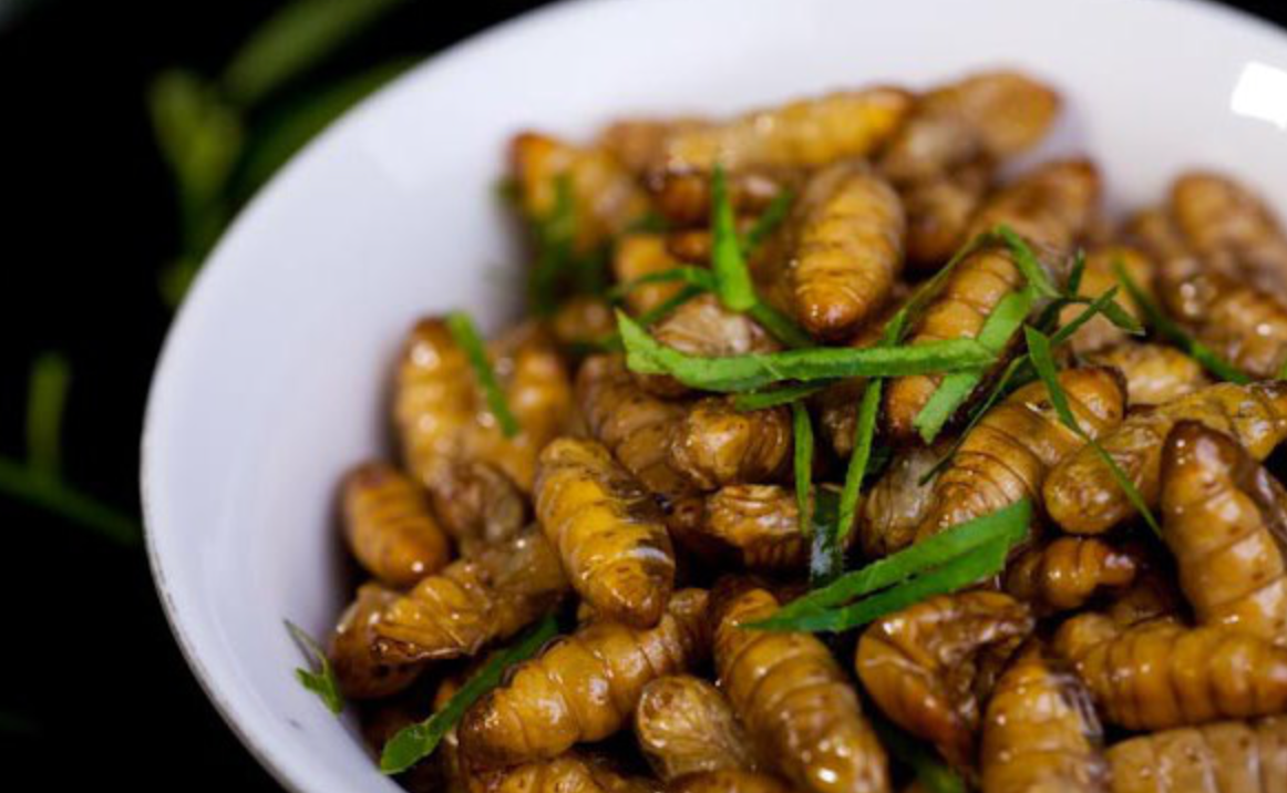 Người Việt chế biến nhộng tằm thành nhiều món bổ dưỡng như: nhộng xào lá chanh, nhộng tằm xào măng, nhộng tằm chiên, nhộng tằm rang muối…