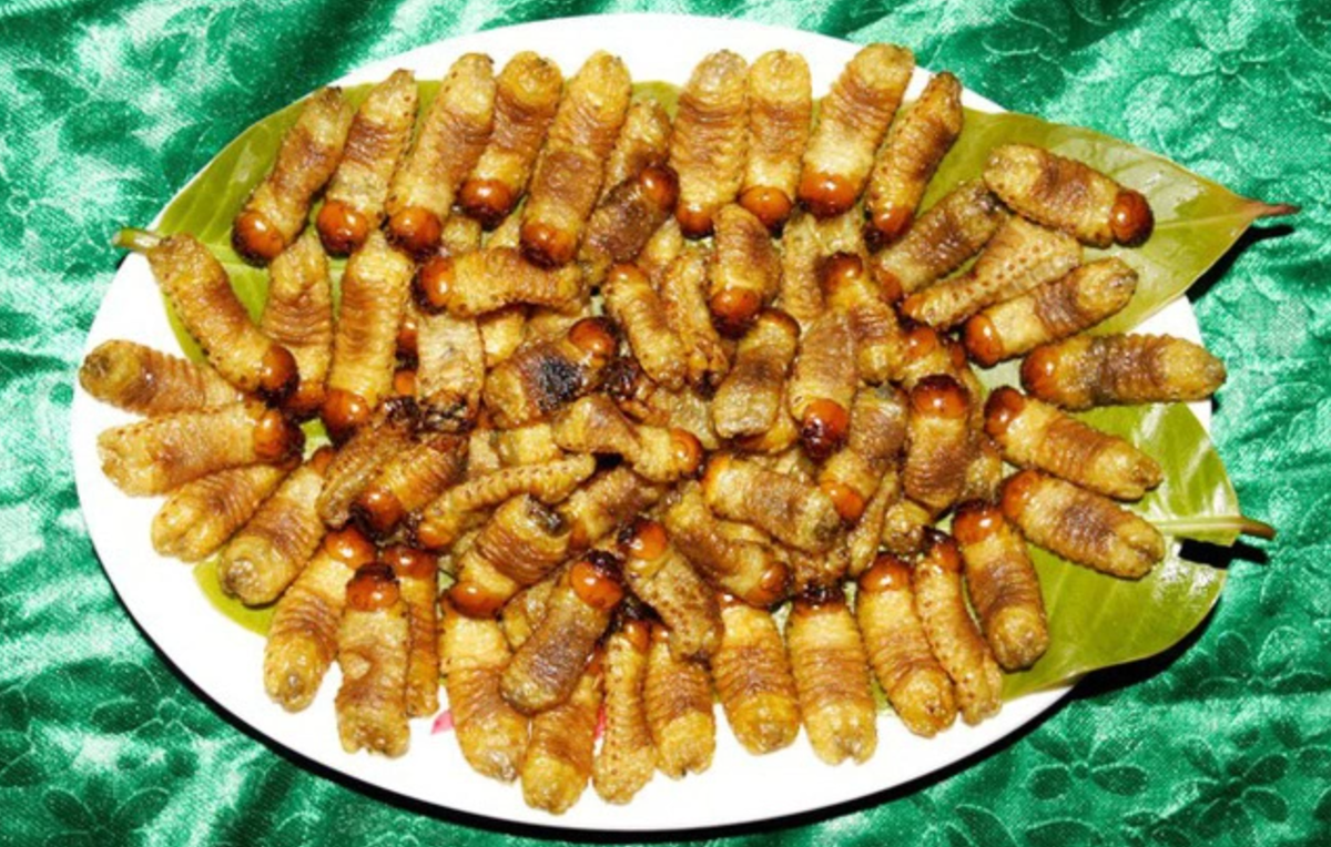 Sùng đất là đặc sản của Quảng Nam, sùng đất có hình dạng khá “khó nuốt”, nhưng chúng được người bản địa ưa chuộng vì công dụng dinh dưỡng cao.