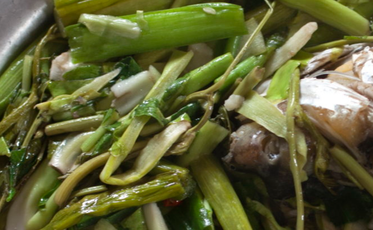 Các nghiên cứu khoa học cũng chỉ ra, cây lục bình còn chứa các hợp chất có lợi cho sức khỏe như alkaloid, dẫn xuất phenyl… Đây là các chất có tác dụng chống oxy hóa, kháng khuẩn, kháng nấm và ngừa ung thư. Trong đông y, lục bình tính hàn, có công dụng rất tốt trong việc thanh can, giải độc. Ảnh: tribpics