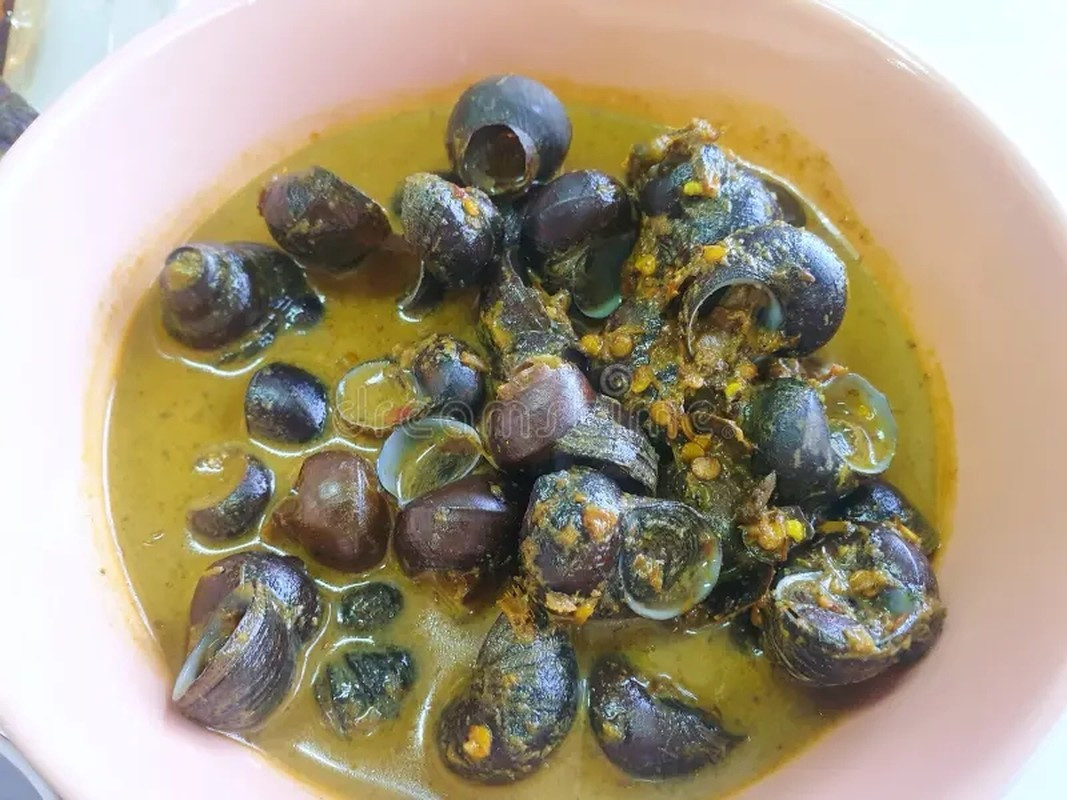 Theo nghiên cứu, cách chế biến món ốc hầm Ấn Độ có thể khác nhau tùy thuộc vào vùng miền và sở thích cá nhân. Ảnh: My tour