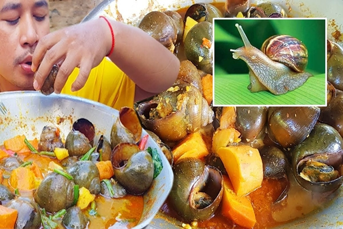 Trái ngược với hình thức bên ngoài, ốc hầm lại có hương vị vô cùng đặc biệt. Thịt ốc mềm, dai, kết hợp với nước sốt cà ri đậm đà, thơm lừng các loại gia vị như hành, tỏi, ớt, gừng... tạo nên một món ăn vô cùng hấp dẫn. Ảnh: My tour