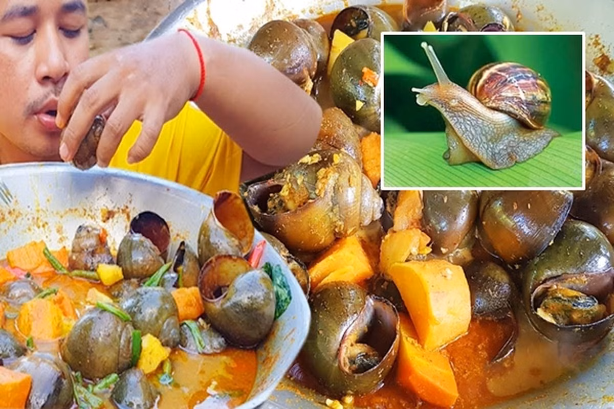 Trái ngược với hình thức bên ngoài, ốc hầm lại có hương vị vô cùng đặc biệt. Thịt ốc mềm, dai, kết hợp với nước sốt cà ri đậm đà, thơm lừng các loại gia vị như hành, tỏi, ớt, gừng... tạo nên một món ăn vô cùng hấp dẫn. Ảnh: My tour