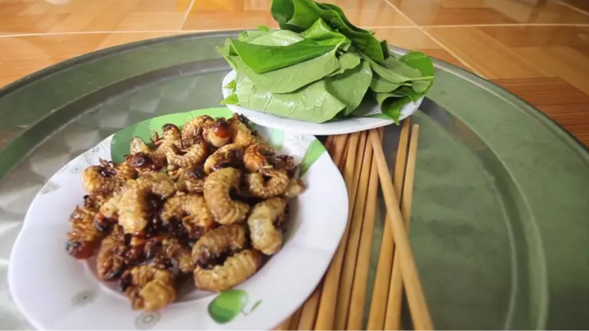 Có vô vàn món ngon từ sùng đất như luộc, rang hay băm nhỏ đúc bánh xèo,… Nhưng dậy mùi và giữ được hương vị vốn có của sùng nhất vẫn phải kể đến món sùng nướng muối ớt. Ảnh: Vietnamnet