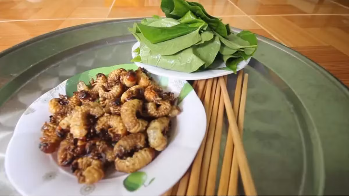 Có vô vàn món ngon từ sùng đất như luộc, rang hay băm nhỏ đúc bánh xèo,… Nhưng dậy mùi và giữ được hương vị vốn có của sùng nhất vẫn phải kể đến món sùng nướng muối ớt. Ảnh: Vietnamnet