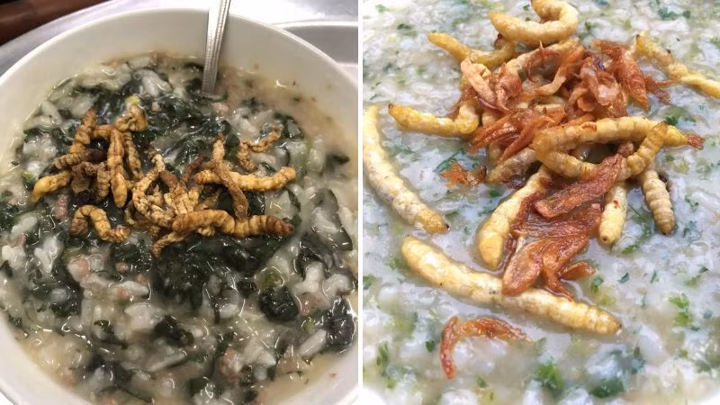 Mặc dù thuộc top đặc sản kinh dị nhưng những món ăn từ sâu chít có hương vị bùi, thơm ngon nhiều người yêu thích. Ảnh: Bách hoá Xanh