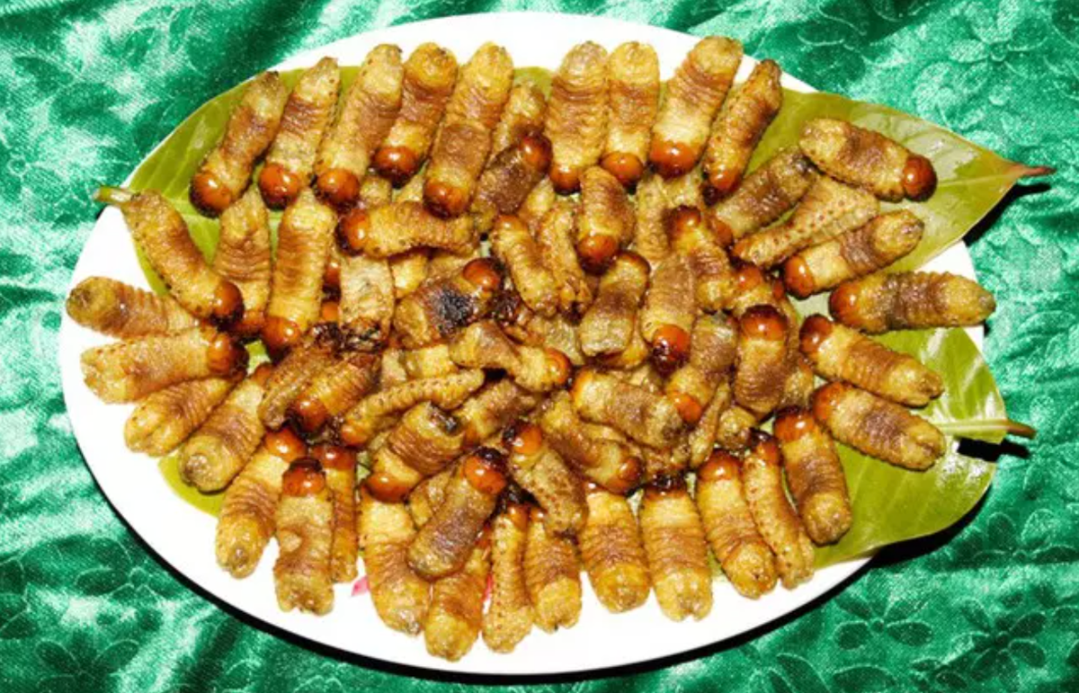 Sùng đất không chỉ là đặc sản mà còn là món ăn đặc biệt chỉ dành riêng cho khách quý của người dân tộc Cơ Tu (Quảng Nam). Ảnh: Vietnamnet