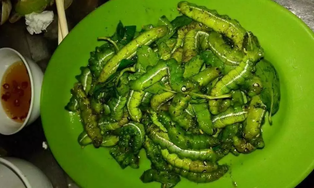 Sâu khoai cũng được chế biến thành nhiều món ăn, với những người thích cảm giác mạnh thì có thể ăn sống. Ảnh: Vietnamnet