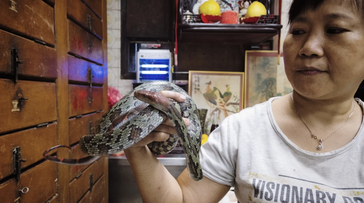 Cuối cùng, đầu bếp thêm đậu phụ lên men và lá chanh khô để tăng độ giòn, loại bỏ mùi tanh của rắn trong món đặc sản Trung Quốc này. Ảnh: Vice