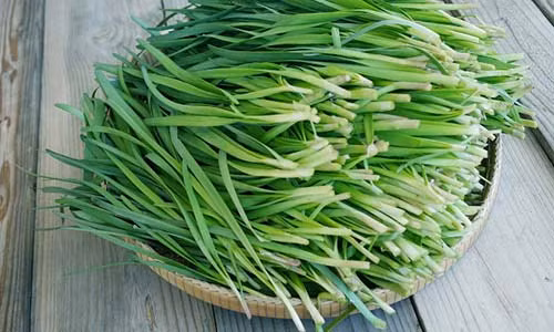 Rau hẹ không chỉ được dùng nhiều trong các món ăn…, mà còn là cây thuốc chữa được nhiều bệnh.