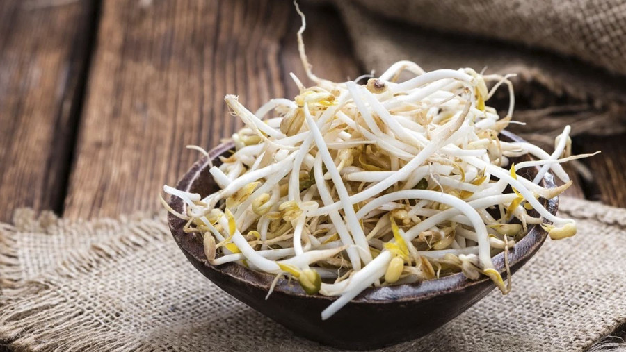 Ngoài rau dền, giá đỗ cũng là loại thực phẩm giá rẻ, bổ dưỡng ngang ngửa thịt.