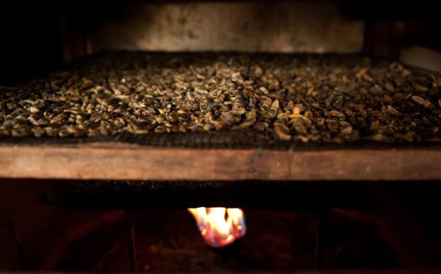 Quy trình chế biến thằn lằn khô khá đơn giản nhưng lại đòi hỏi sự khéo léo và tỉ mỉ. Sau khi được làm sạch, thằn lằn sẽ được nướng trong lò khoảng 2 tiếng đồng hồ. Tiếp theo, chúng được mang ra phơi khô dưới ánh nắng mặt trời cho đến khi chuyển sang màu đen. Ảnh: Báo Giao thông