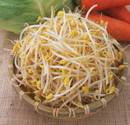 Không chỉ là loại thực phẩm quen thuộc trong các bữa cơm của người Việt mà giá đỗ còn được ví như phương thuốc tự nhiên mang lại nhiều lợi ích cho sức khỏe. Ảnh Internet