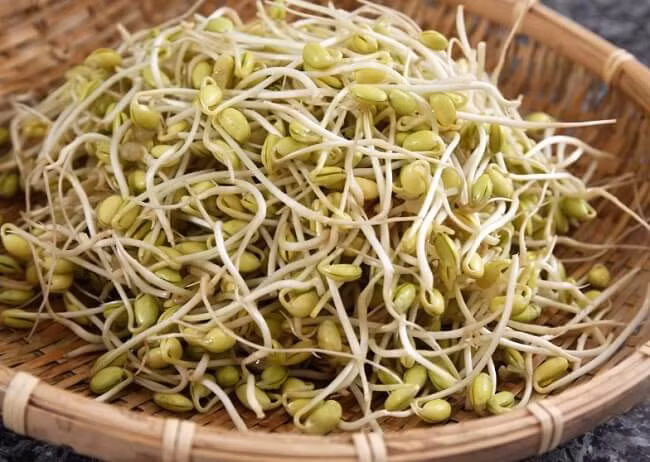 Giá đỗ chứa hàm lượng dồi dào các vitamin và khoáng chất cần thiết cho cơ thể như protein, magie, phốt pho, mangan, folate, vitamin K và vitamin C. Ngoài ra, loại thực phẩm này cũng cung cấp các hợp chất oxy hóa và nhiều loại axit amin thiết yếu, giúp tăng cường sức khỏe con người. Ảnh Internet