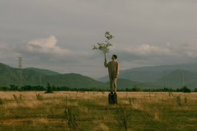 Tiếp nối "lời tiên tri", năm 2021, MV "Trốn tìm" với chủ đề về tình yêu lại khiến nhiều sĩ tử liên tưởng đến bài thơ "Sóng" của Xuân Quỳnh, và bài thơ này đã xuất hiện trong đề thi môn Ngữ văn năm đó.