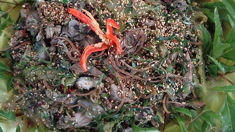 Món nham cá được làm từ những nguyên liệu chính như trám đen, thịt ba chỉ, cá chép,... Khi thưởng thức món đặc sản này, thực khách sẽ cảm nhận được vị béo bùi của trám đen quyện với vị ngọt đậm của cá chép cùng hương thơm của các loại gia vị.