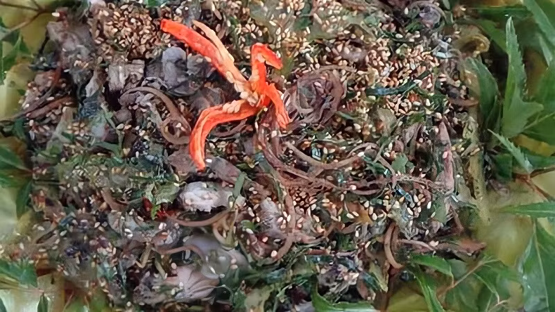 Món nham cá được làm từ những nguyên liệu chính như trám đen, thịt ba chỉ, cá chép,... Khi thưởng thức món đặc sản này, thực khách sẽ cảm nhận được vị béo bùi của trám đen quyện với vị ngọt đậm của cá chép cùng hương thơm của các loại gia vị.