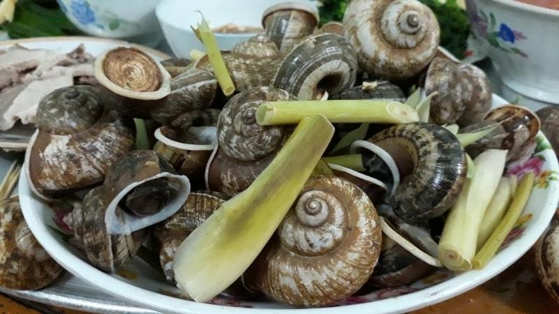 Ốc đá Suối Bàng chắc chắn là món đặc sản Mộc Châu mà nhiều du khách sẽ muốn thưởng thức khi đến đây. Sau khi bắt về thì ốc sẽ được làm sạch, mang đi chế biến xào lăn hay hấp với gừng sả.