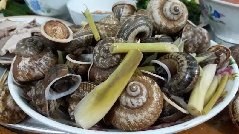 Ốc đá Suối Bàng chắc chắn là món đặc sản Mộc Châu mà nhiều du khách sẽ muốn thưởng thức khi đến đây. Sau khi bắt về thì ốc sẽ được làm sạch, mang đi chế biến xào lăn hay hấp với gừng sả.