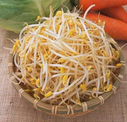  Giá đỗ chứa chất béo và năng lượng thấp nên có khả năng trợ giúp tiêu hóa, lợi tiểu, giảm mỡ, giảm cholesterol có hại, vì thế người béo phì nên thường xuyên ăn để giảm mỡ máu, đẩy lùi nguy cơ bị bệnh tim mạch. Ảnh minh họa