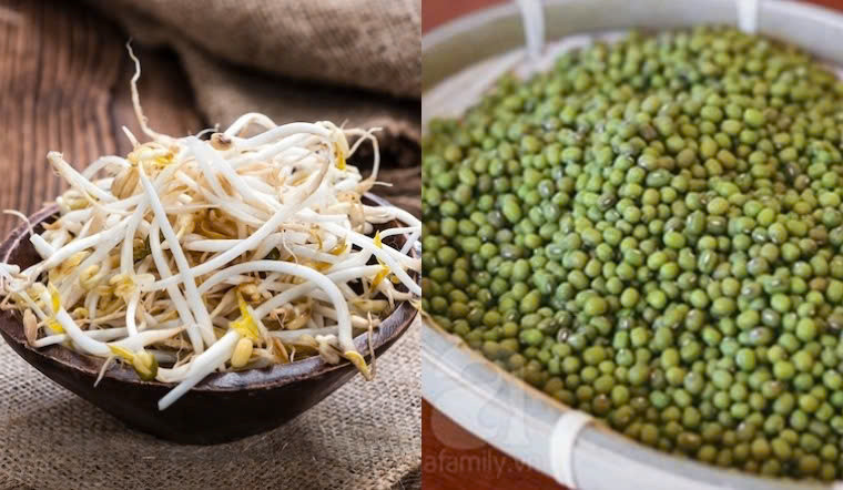 Phụ nữ có thai và trẻ em cũng chỉ nên ăn giá đỗ đã nấu chín kỹ để tránh nguy cơ bị ngộ độc thực phẩm. Tránh bất kỳ loại đậu nảy mầm nào ở trẻ dưới 24 tháng tuổi. Ảnh minh họa