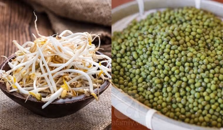 Phụ nữ có thai và trẻ em cũng chỉ nên ăn giá đỗ đã nấu chín kỹ để tránh nguy cơ bị ngộ độc thực phẩm. Tránh bất kỳ loại đậu nảy mầm nào ở trẻ dưới 24 tháng tuổi. Ảnh minh họa